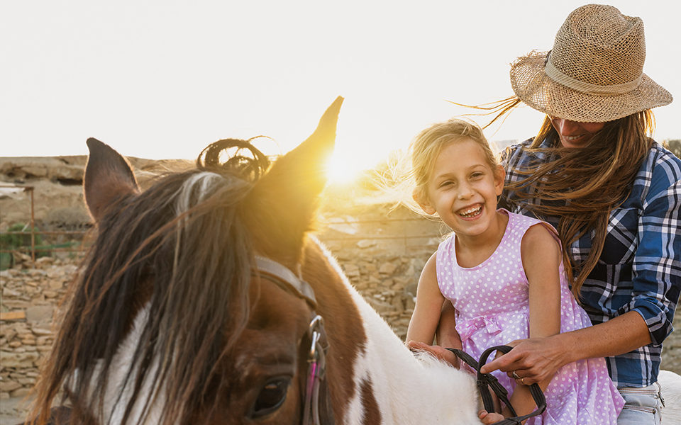 Orthopeadics In Dallas, Texas